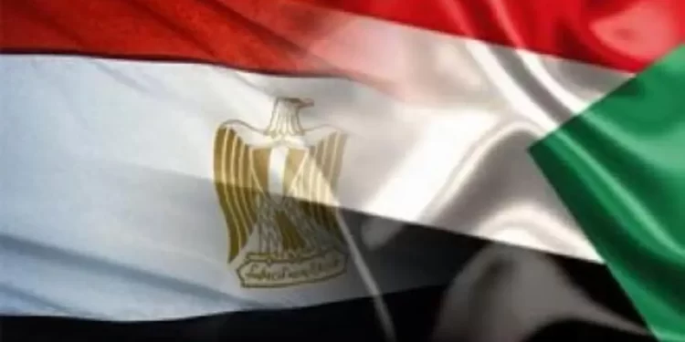 مصر والسودان تبحثان المصالح المشتركة لـ شعبي وادي النيل 1
