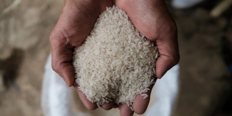 الحكومة تكشف حقيقة أزمة الأرز في السوق تأثرا بالوضع العالمي 1