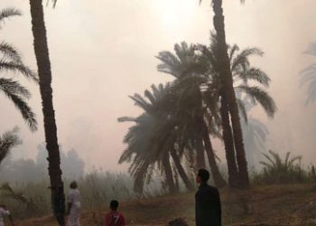السيطرة على حريق في 5 أفدنة بقرية المراقي في سيوة 1