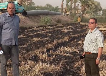 السيطرة على حريق هائل بزراعات القمح في قرية الكولة بأخميم 1