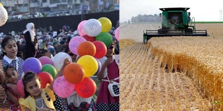 عيد الفطر - موسم حصاد القمح