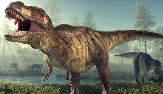 باحث بجامعة امريكية: عائلة الديناصور هابيل ظهرت منذ اكثر من 170 مليون سنة 1