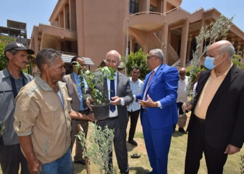 رئيس جامعة بنها يدشن المرحلة الثانية من مبادرة هنجملها لزراعة الأشجار المثمرة بكليتى التربية والحقوق 1