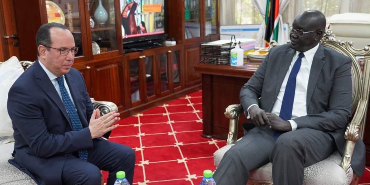 السفير المصري في جوبا يلتقي وزير الخارجية والتعاون الدولي الجنوب سوداني 1