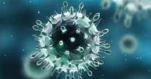 الصحة العالمية فيروس كورونا
