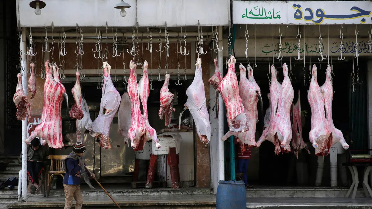 عيد الأضحى 2022| أسعار اللحوم البلدي والمستوردة في المنافذ الحكومية والأسواق 3