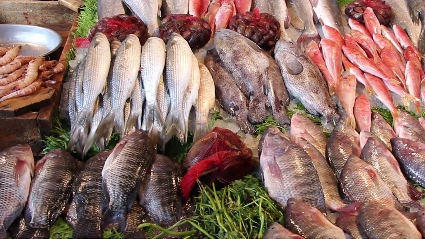 أسعار الأسماك اليوم السبت 30 سبتمبر 2023 في الأسواق 1