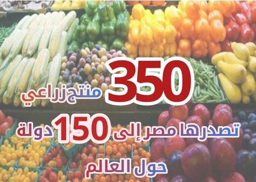 «أرقام X الزراعة»| تعرف على عدد المنتجات الزراعية التي تصدرها مصر الى الخارج