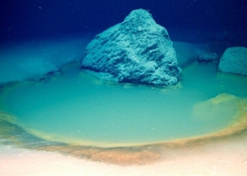 اكتشاف أحواض ملحية نادرة في أعماق البحر الأحمر 2