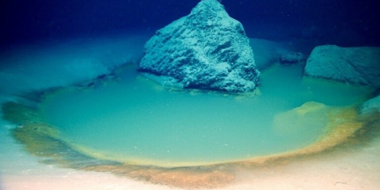 اكتشاف أحواض ملحية نادرة في أعماق البحر الأحمر 1