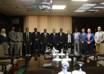 وزير الكهرباء يستقبل نظيرة الجيبوتي لبحث التعاون بين البلدين