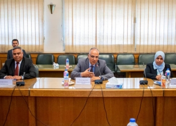 الري: تعزيز التعاون بين مصر ومدغشقر في مجال المياه