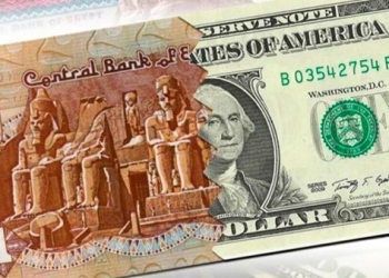 استقرار سعر الدولار مقابل الجنيه المصري بداية تعاملات اليوم الاثنين 18 سبتمبر 2023