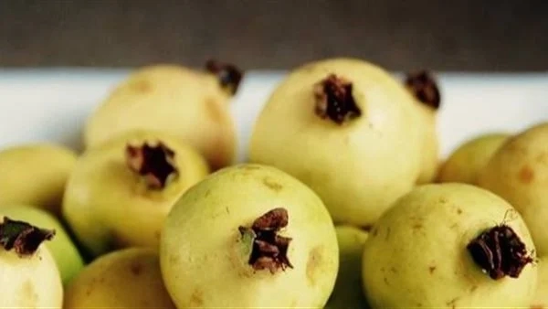 الزراعة تدحض شائعات السوشيال ميديا وتؤكد: لم تُرفض أي شحنات إلى ليبيا بما فيها الجوافة
