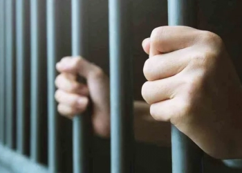 السجن المشدد 7 سنوات لمتهم فى خلية هشام عشماوي 1