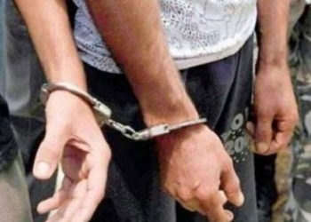القبض على 25 عاطلا بحوزتهم مخدرات وأسلحة نارية في القليوبية 1