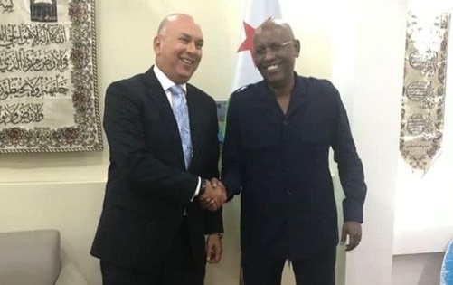 السفير المصري في جيبوتي يلتقي وزير الاقتصاد والمالية المكلف بالصناعة 1
