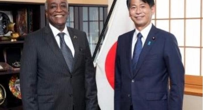 السفير المصري في طوكيو يلتقي وزير الدولة الياباني للشئون الخارجية 1