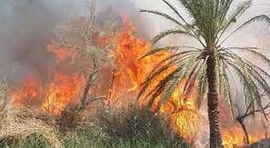 إخماد حريق داخل مزرعة فى منطقة منشأة ناصر 6