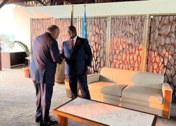 وزير الخارجية يؤكد لرئيس الكونغو التزام مصر بنقل الخبرات في شتى المجالات 1