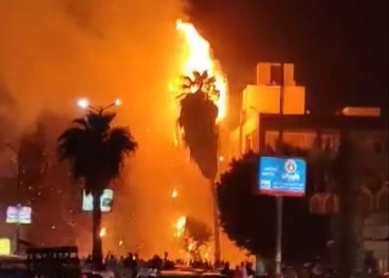 "النار للسما".. 5 سيارات إطفاء للسيطرة على حريق في نخيل شركة المطاحن بفيصل 1