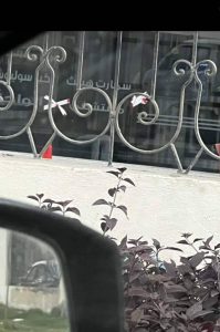 «بـ الشمع الأحمر»| غلق مستشفى الواحة بـ حدائق الأهرام في محافظة الجيزة 1