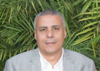 عماد قناوي رئيس شعبة المستوردين بغرفة القاهرة التجارية