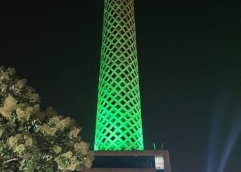 الصحة: «هنور 21 مستشفى» و نضيء برج القاهرة باللون الأخضر