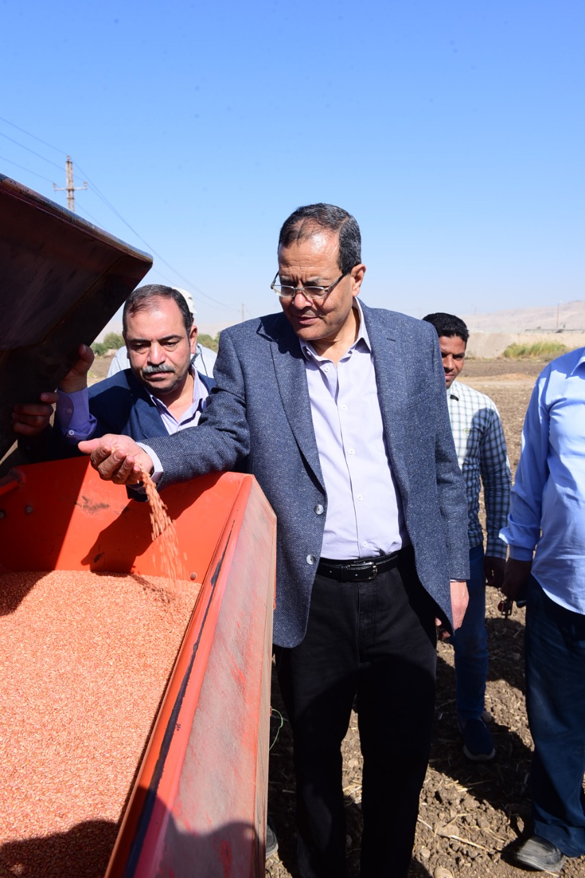 رئيس جامعة سوهاج يتابع بدء زراعة 40 فدان تقاوي قمح عالية الإنتاج و 18 فدان من الشعير