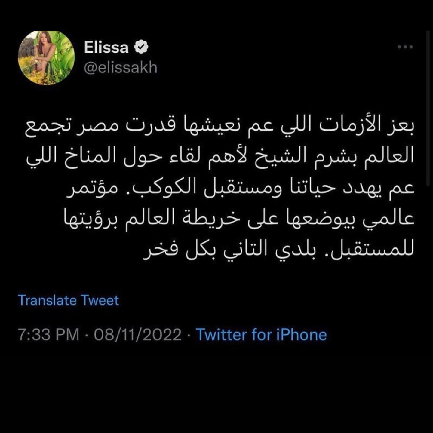 «بعد تصدرها التريند».. إليسا: كنت مفكرة علاء عبدالفتاح لبناني.. وأنا بعتبر مصر بلدي 3