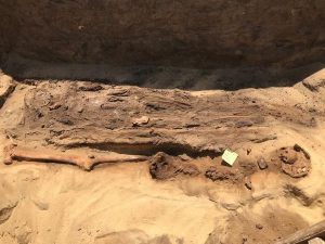 الكشف عن مقابر ودفنات ترجع لعصور مختلفة ومومياوات ذات ألسنة ذهبية بجبانة قويسنا الأثرية 6