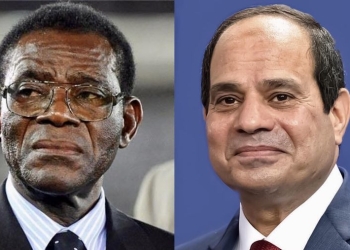 الرئيس السيسي يجري اتصالاً هاتفياً مع رئيس غينيا الاستوائية 4
