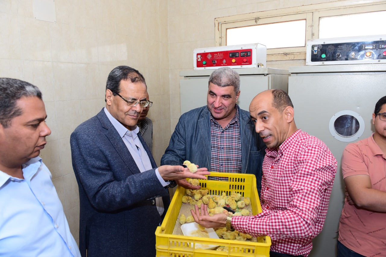 رئيس جامعة سوهاج يتابع بدء زراعة 40 فدان تقاوي قمح عالية الإنتاج و 18 فدان من الشعير