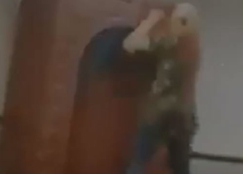 فلبينية ترقص داخل مسجد يثير غضب رواد السوشيال ميديا (فيديو) 1