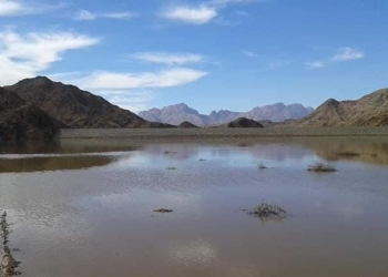 عاجل | الري: مركز التنبؤ يرصد كميات ومواقع هطول الأمطار قبل حدوثها بثلاثة أيام
