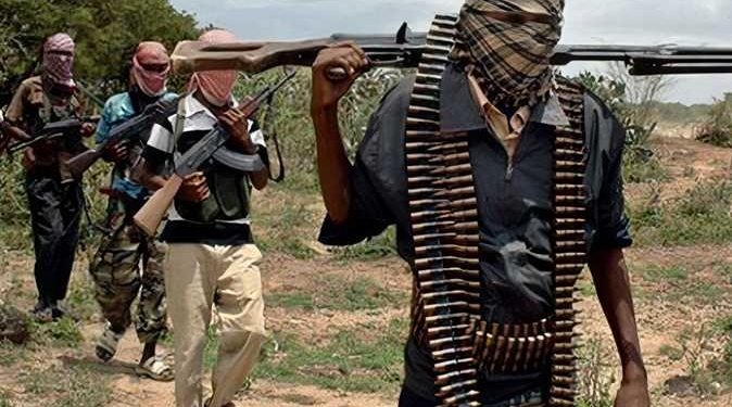 باحثة: الصراعات الداخلية المسلحة أحد أسباب انتشار التنظيمات الإرهابية بإفريقيا 1