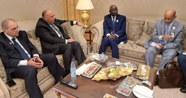 شكري يلتقي وزير الشئون الخارجية والتعاون الموريتاني في بالرياض