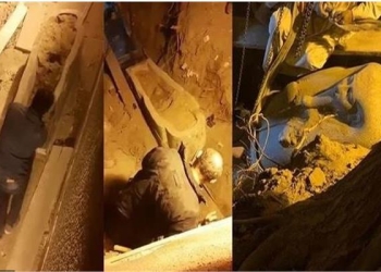 جنايات القاهرة: المؤبد للمتهمين في قضية «مقبرة عين شمس»