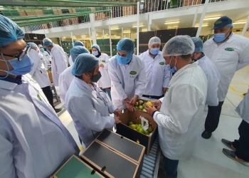 لأول مرة.. وزير الزراعة يعلن فتح السوق الفلبيني أمام الصادرات المصرية