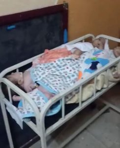 رضع فى المخزن.. تفاصيل كارثة العثور على أطفال «حديثي الولادة» في حجرة مخلفات بمستشفى خاص بالقناطر 14