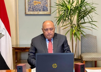 وزير الخارجية: مصر مستعدة لاستضافة مركز عالمي لتوريد وتخزين الحبوب 11