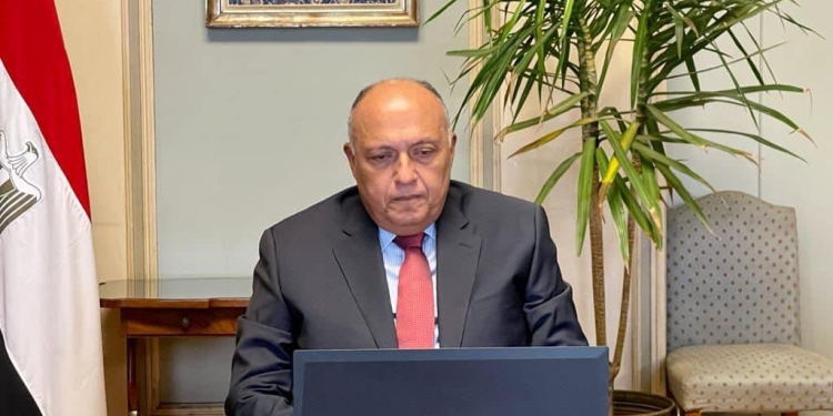 وزير الخارجية: مصر مستعدة لاستضافة مركز عالمي لتوريد وتخزين الحبوب 1