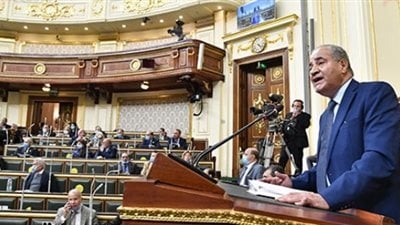 برلماني يطالب وزير التموين بالاستقالة: سلمت الشعب المصري للتجار الجشعين الغلاء فاق الحدود 1