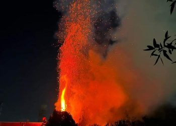 السيطرة على حريق بجوار صهاريج مصنع المنصورة للراتنجات 4