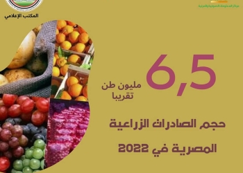 لأول مرة في تاريخها.. القصير: الصادرات الزراعية المصرية بلغت 6.5 مليون طن