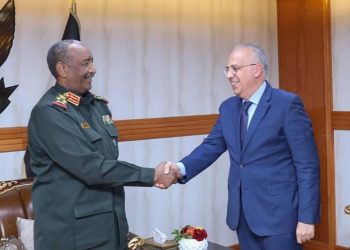 البرهان يؤكد حرص السودان على استمرار التعاون والتنسيق مع مصر على أعلى المستويات 4