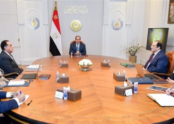 الرئيس السيسي يتابع نشاط صندوق مصر السيادي