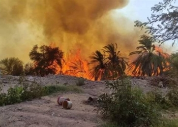 السيطرة على حريق داخل مزرعة بطريق مصر إسكندرية الصحراوي 4