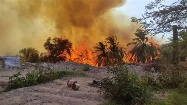 السيطرة على حريق داخل مزرعة بطريق مصر إسكندرية الصحراوي 1