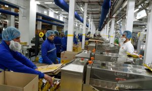 رئيس الوزراء يتفقَّد خط إنتاج جديد لشركة "شيبسي" للصناعات الغذائية | صور 3